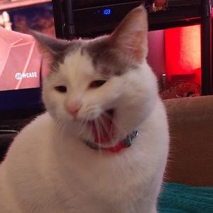 Meet your Posher, Barbara